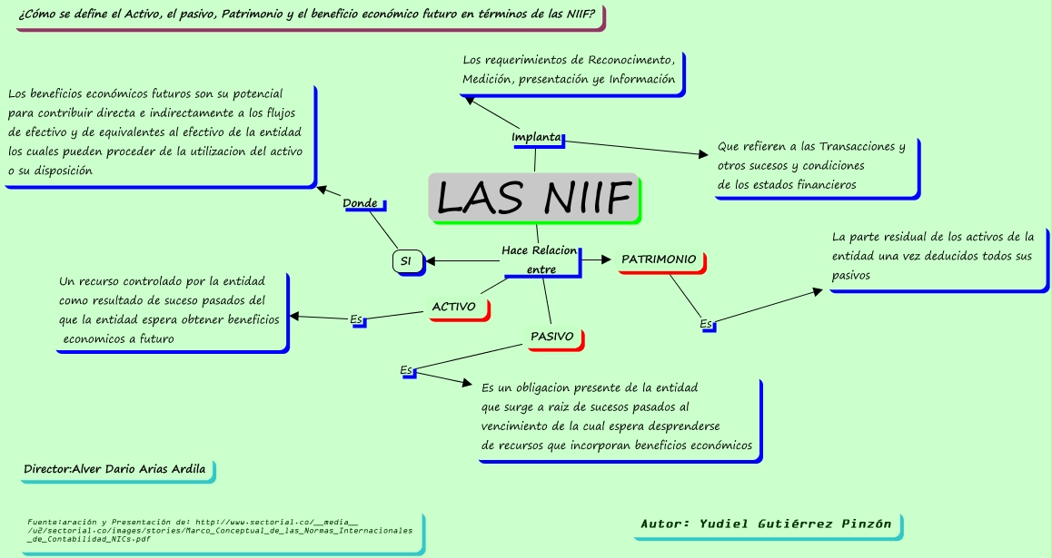 LAS NIIF
